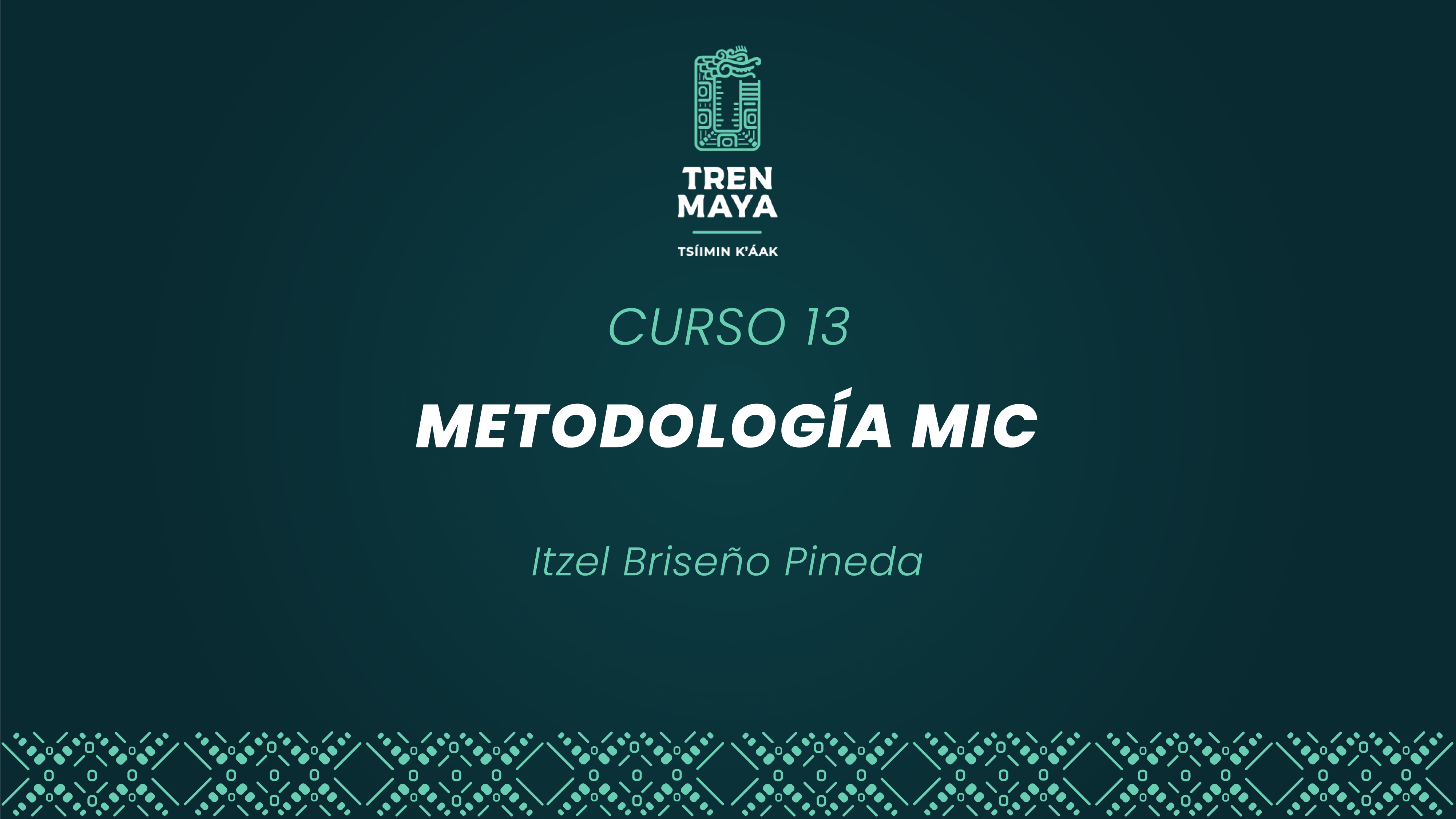 Curso 13 - MIC